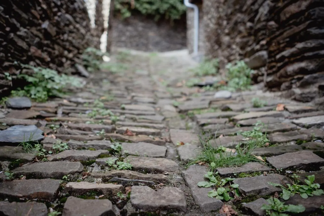 El Xalet De La Vall De Cardos Lladros Шале